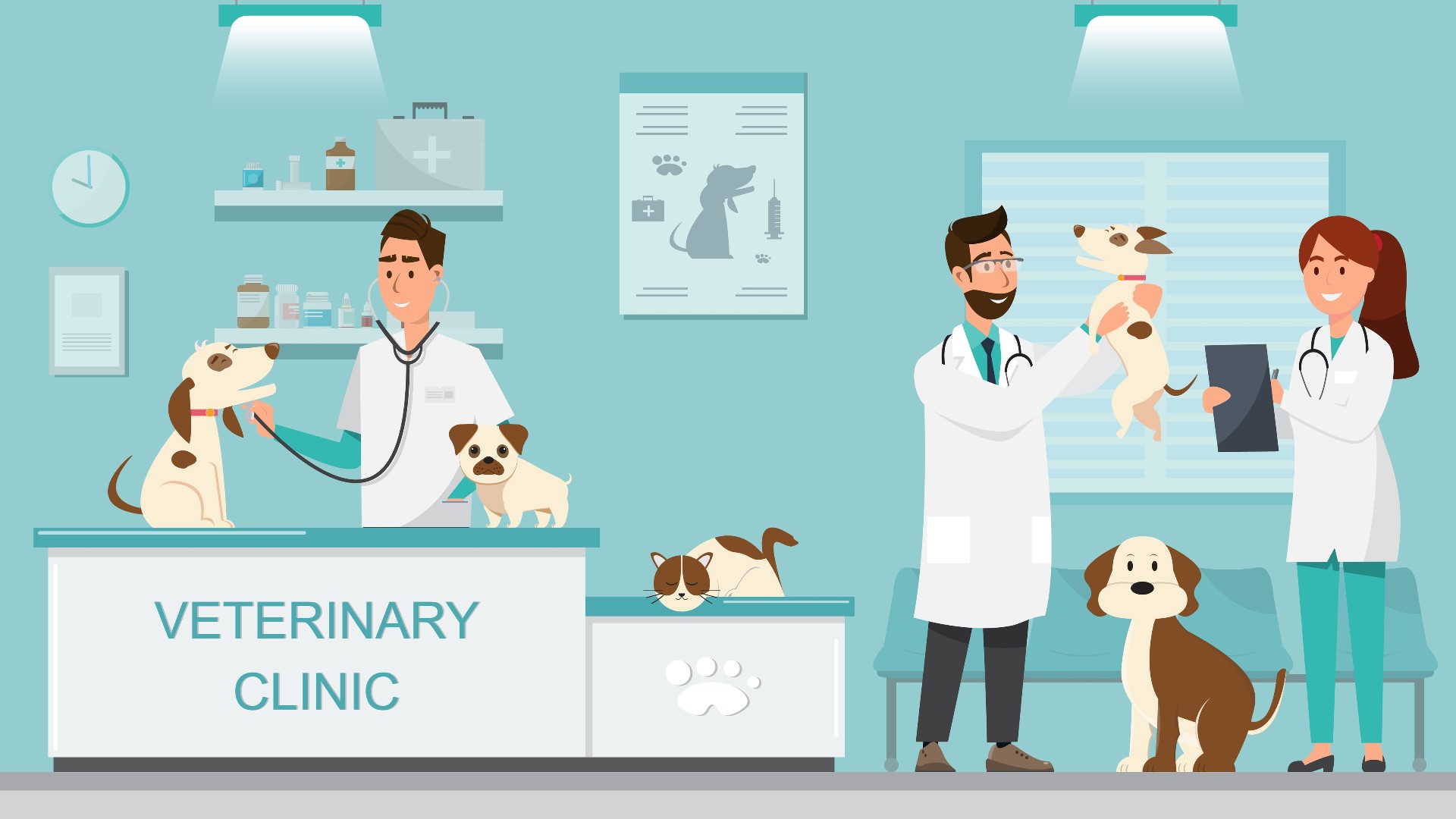 All vaccines will be free and offered to dogs, cats, and domesticated ferrets three months of age and older.
