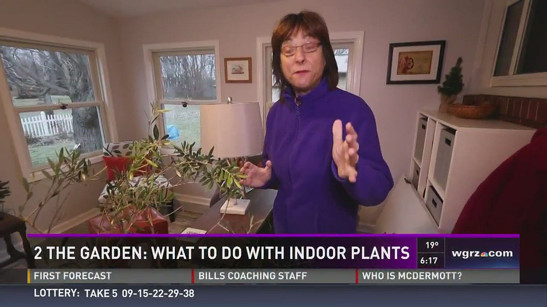 Jackie Albarella explains how to keep your indoor plants healthy all year long