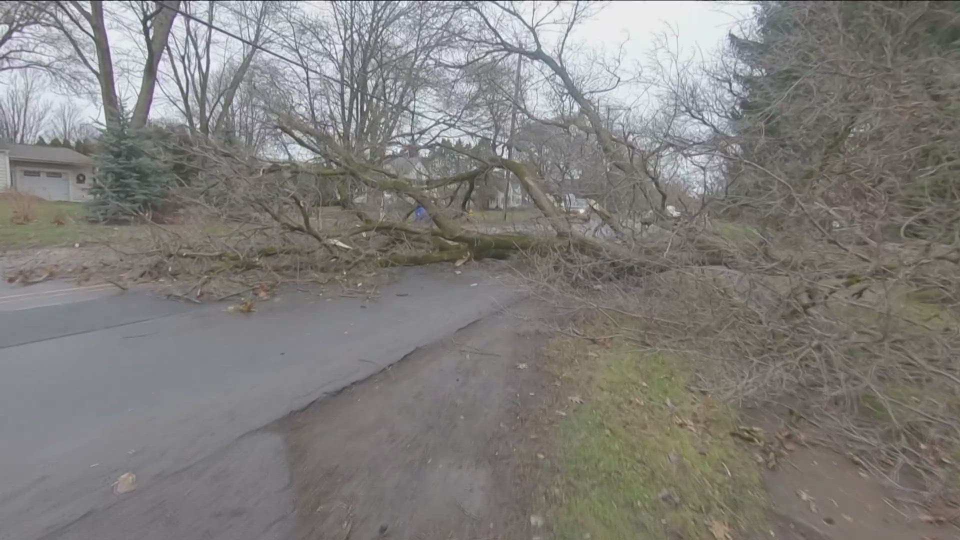 Several trees and power lines were knocked down as a result of high winds.