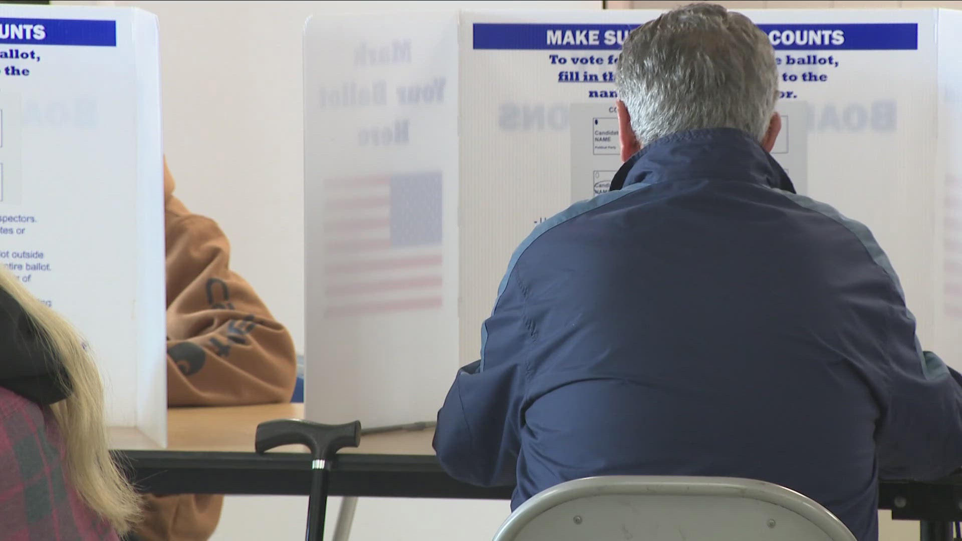 Niagara County saw record numbers in early voting this year.