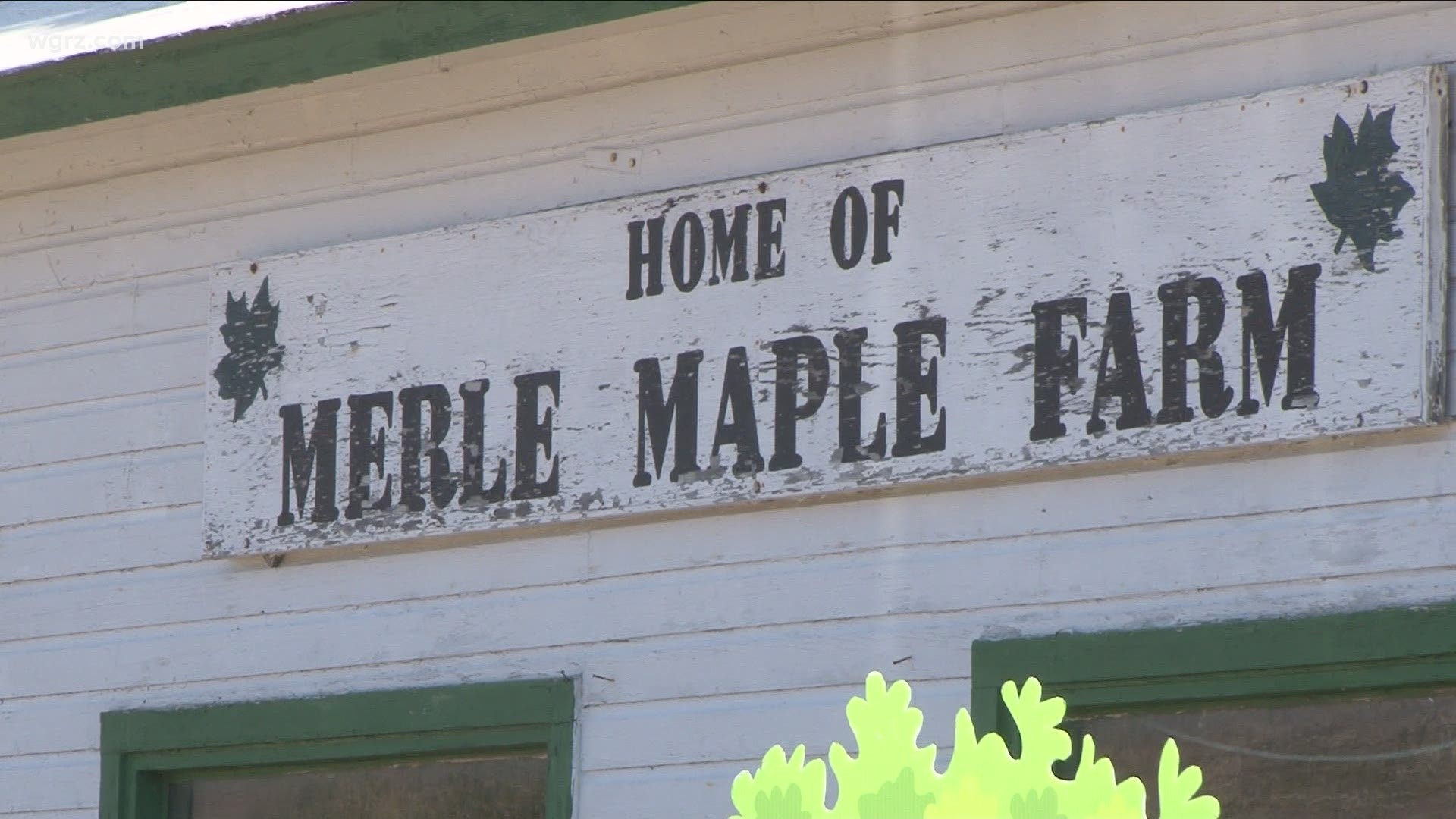 Wyoming County is one of the largest maple producers in the state. Farms in all WNY counties produced over 110 thousand gallons of maple syrup.