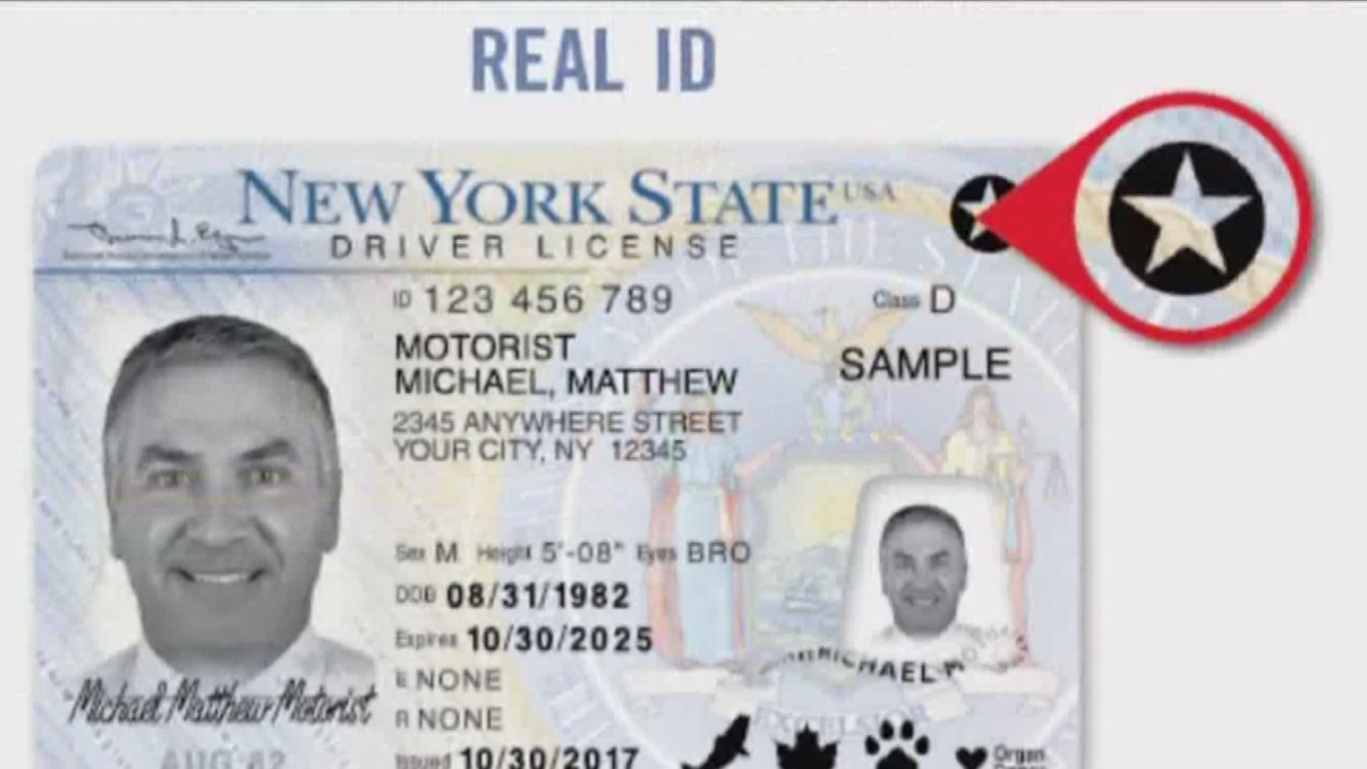 apply for real id new york