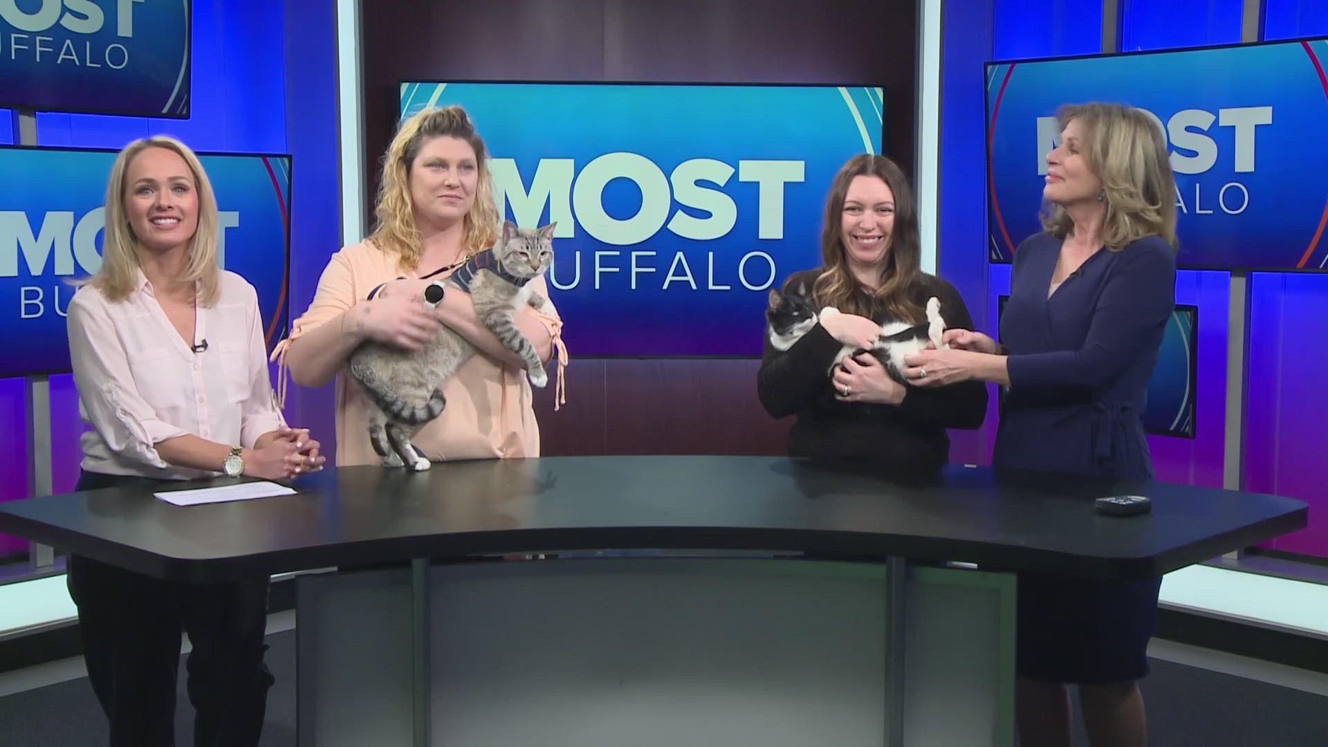 Ten Lives Club participates in March Muttness