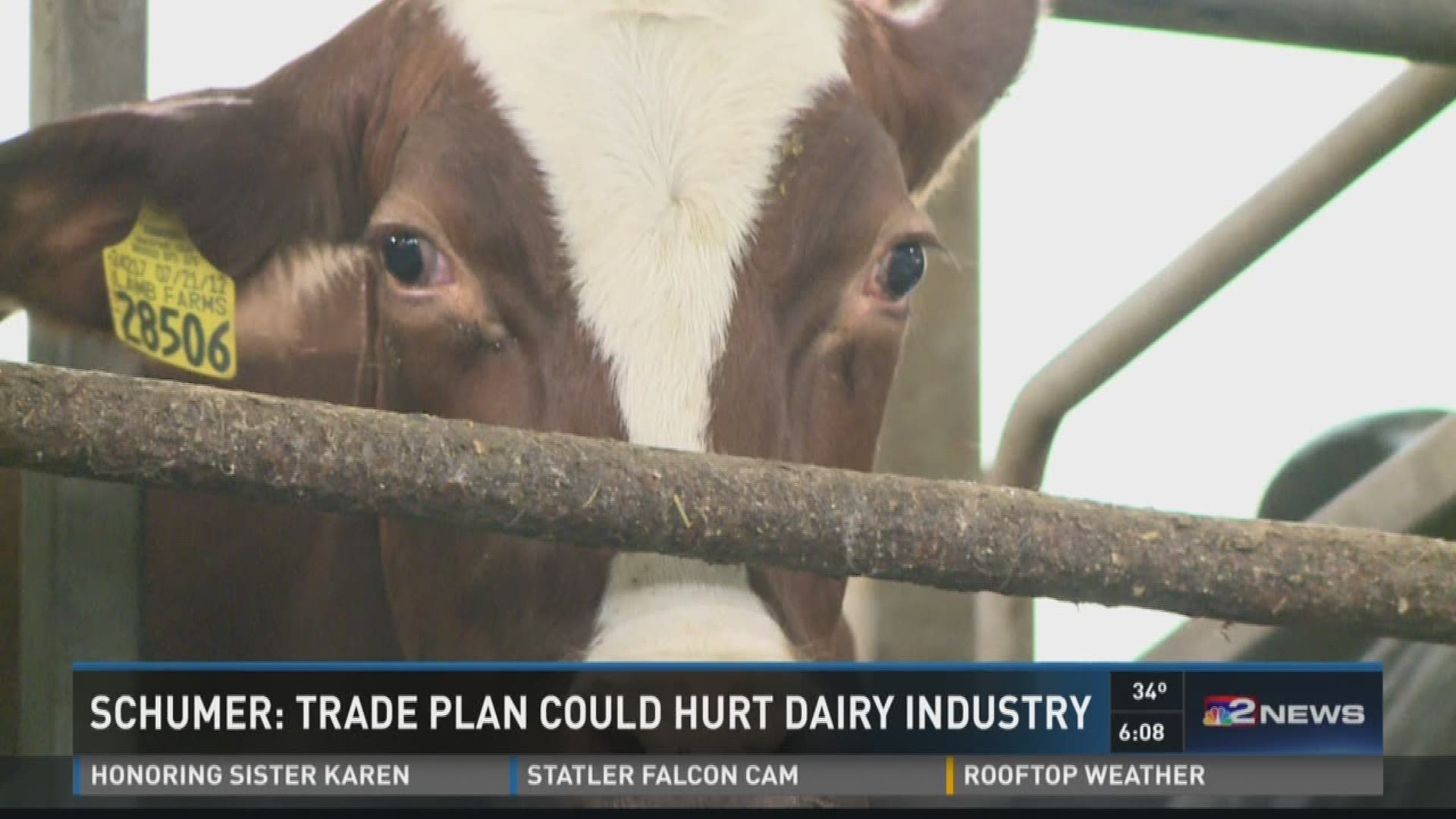 Schumer: Trade Plan Could Hurt Dairy Industry
