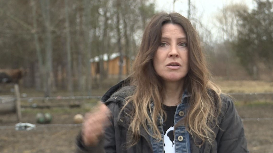 Cornell University lawyers seek lifting of "gag order" against Niagara County woman involved in cattle caper - Vimarsana News