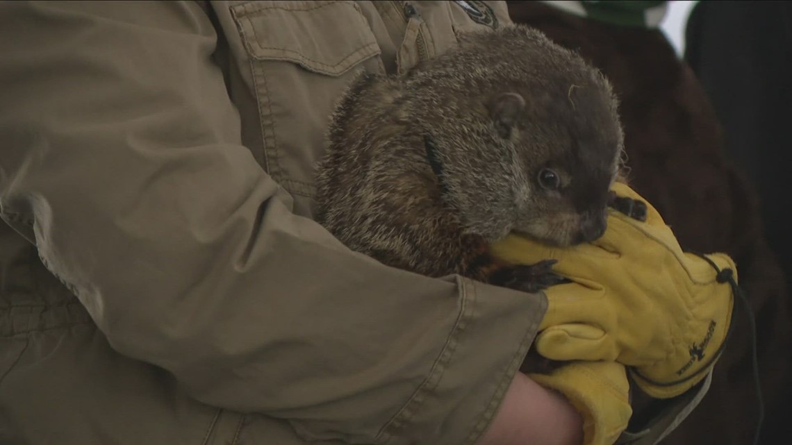 Buffalo Groundhog Day celebration planned - Vimarsana News