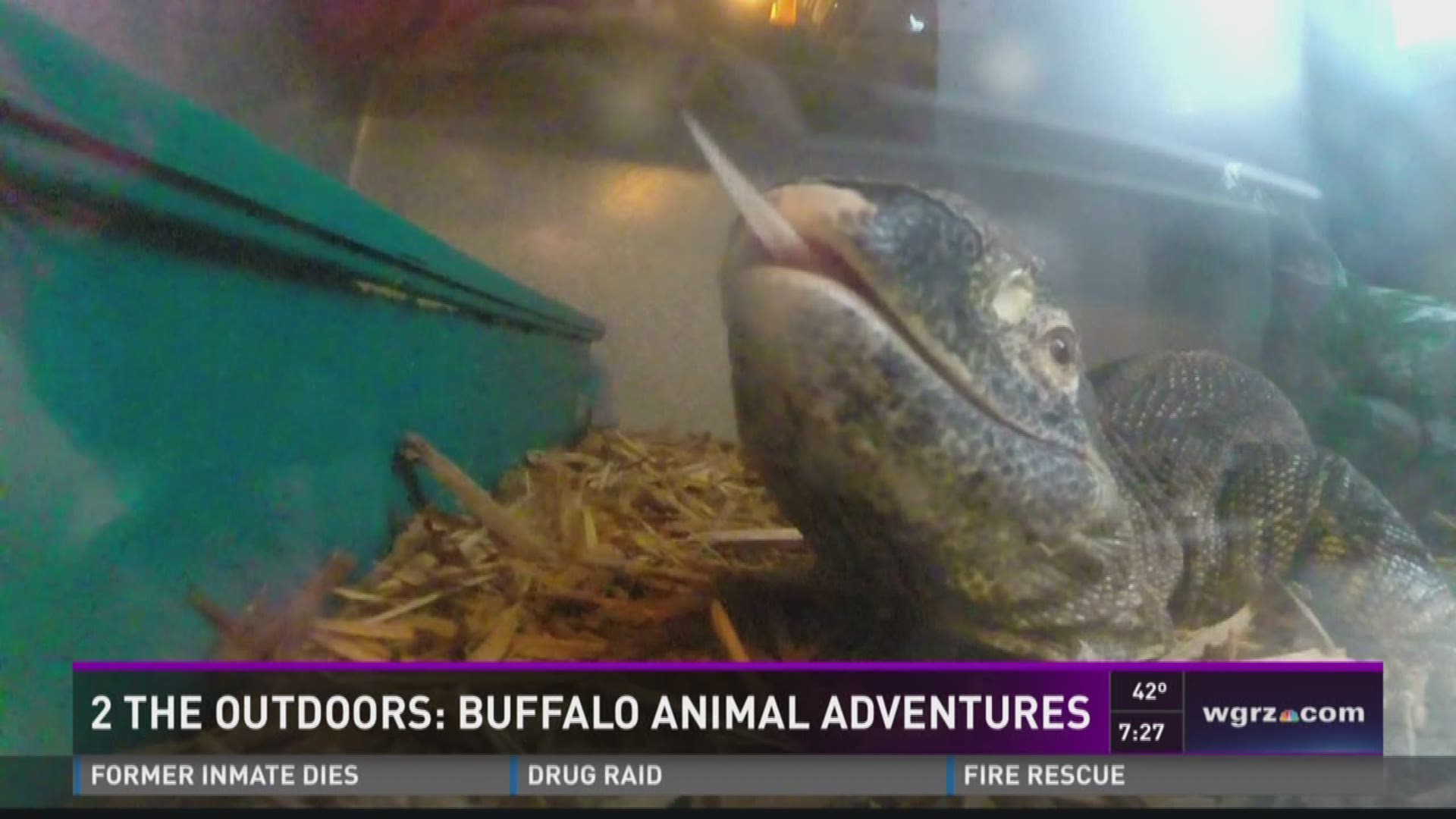 2 The Outdoors: Buffalo Animal Adventures