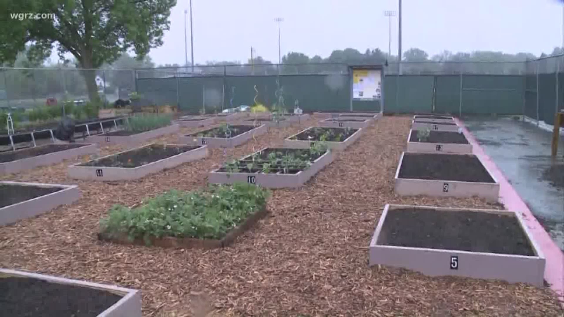Space Still Available For WNY Gardeners