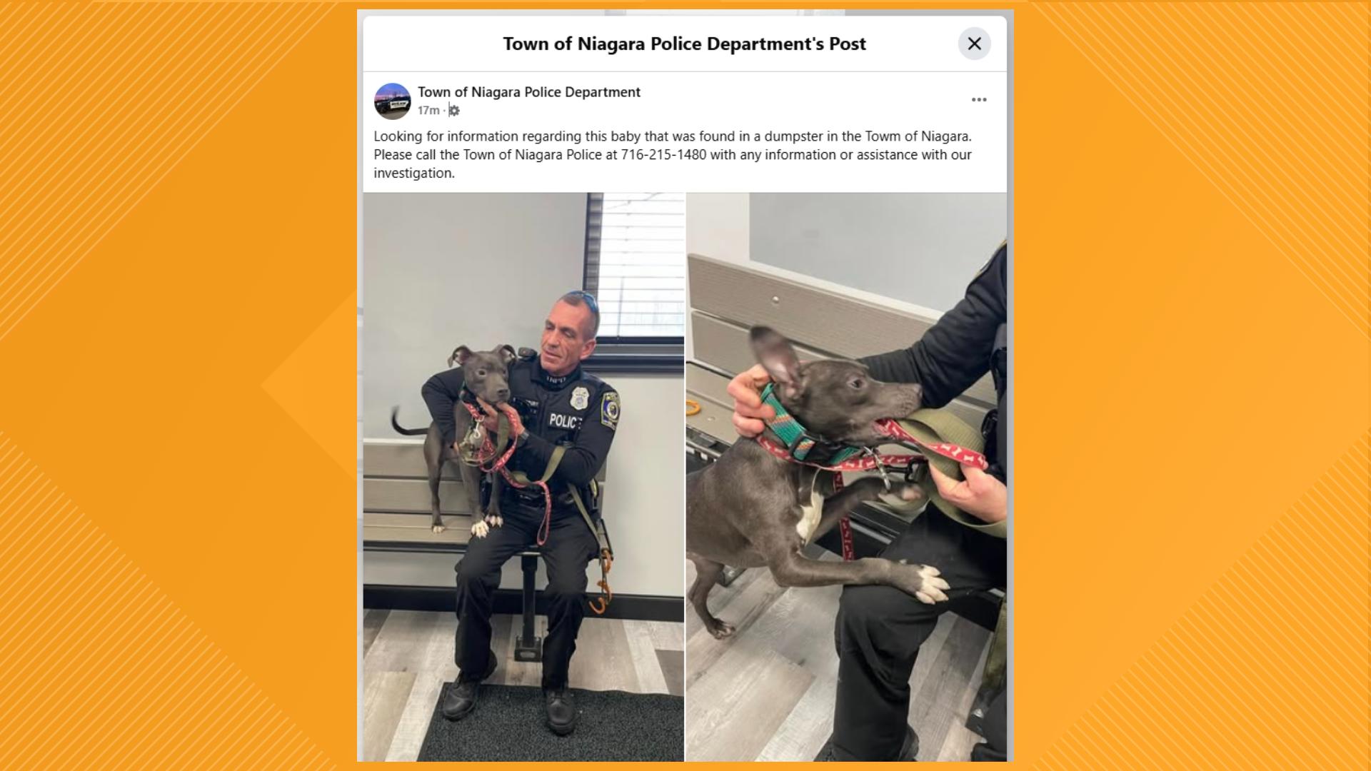 Town of Niagara Police shared that they found a dog in a dumpster ...