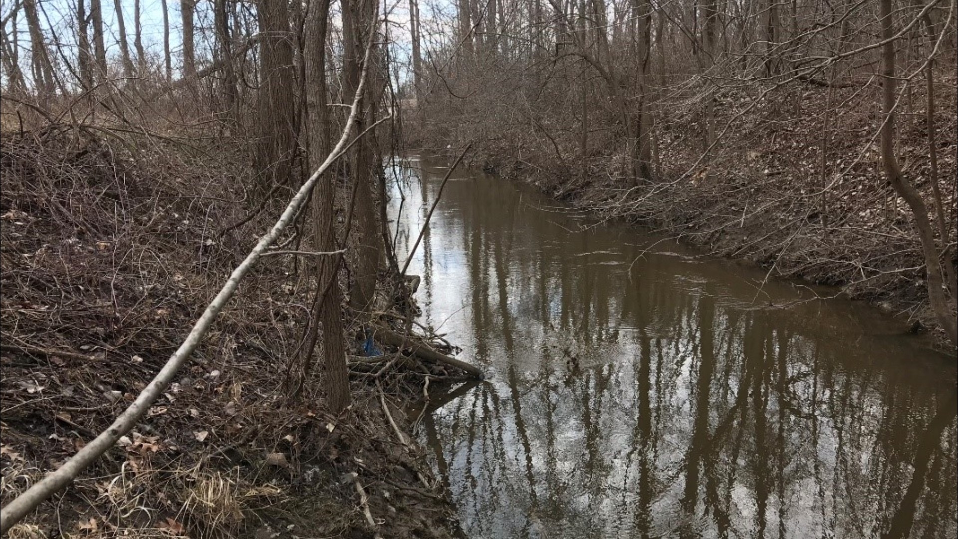 Town of Niagara and Buffalo Niagara Waterkeeper embark on Cayuga Creek ...