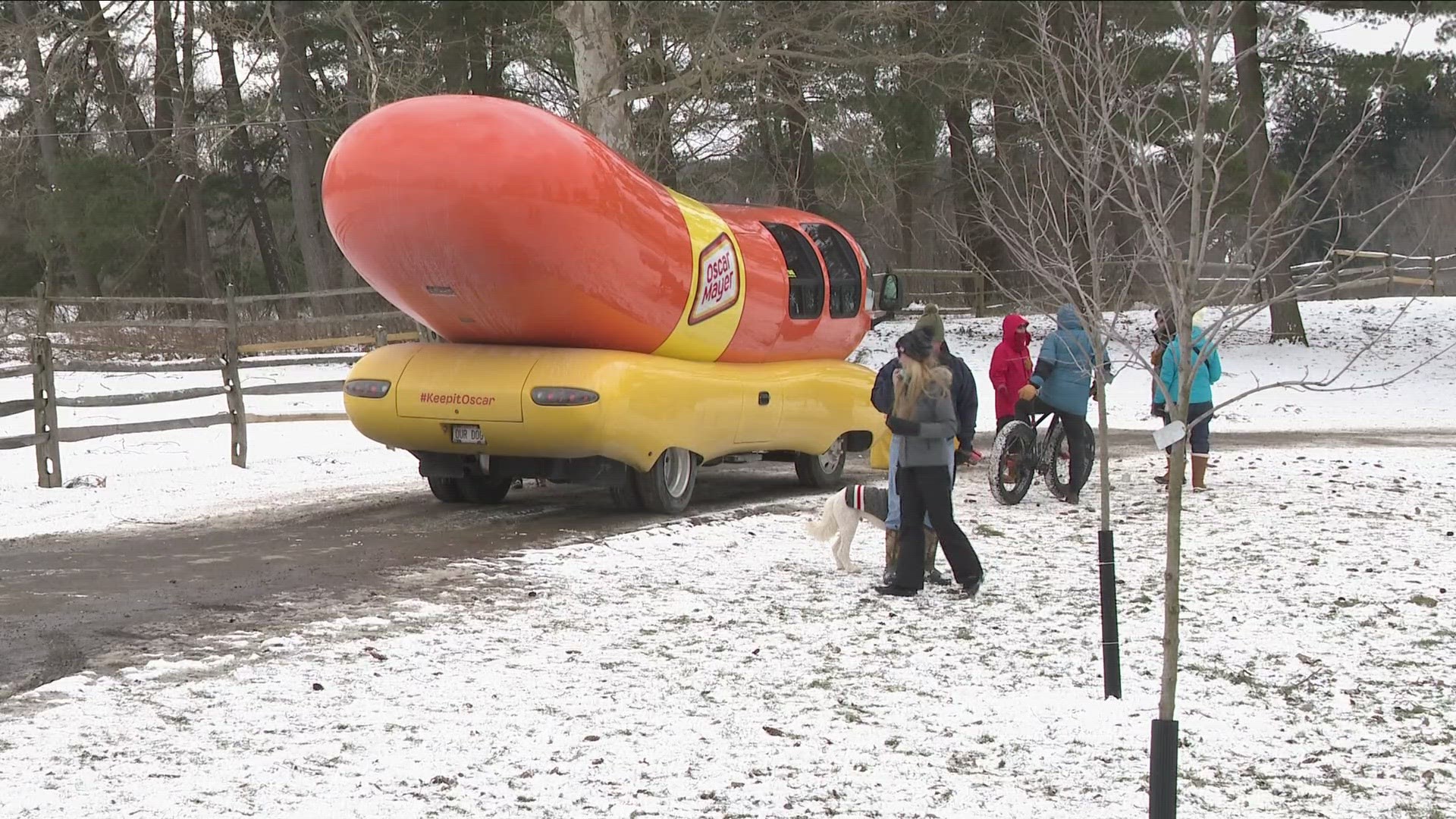 If you happen to see a giant hot dog cruising down the road in Western New York this weekend, we can assure you it's not a dream.