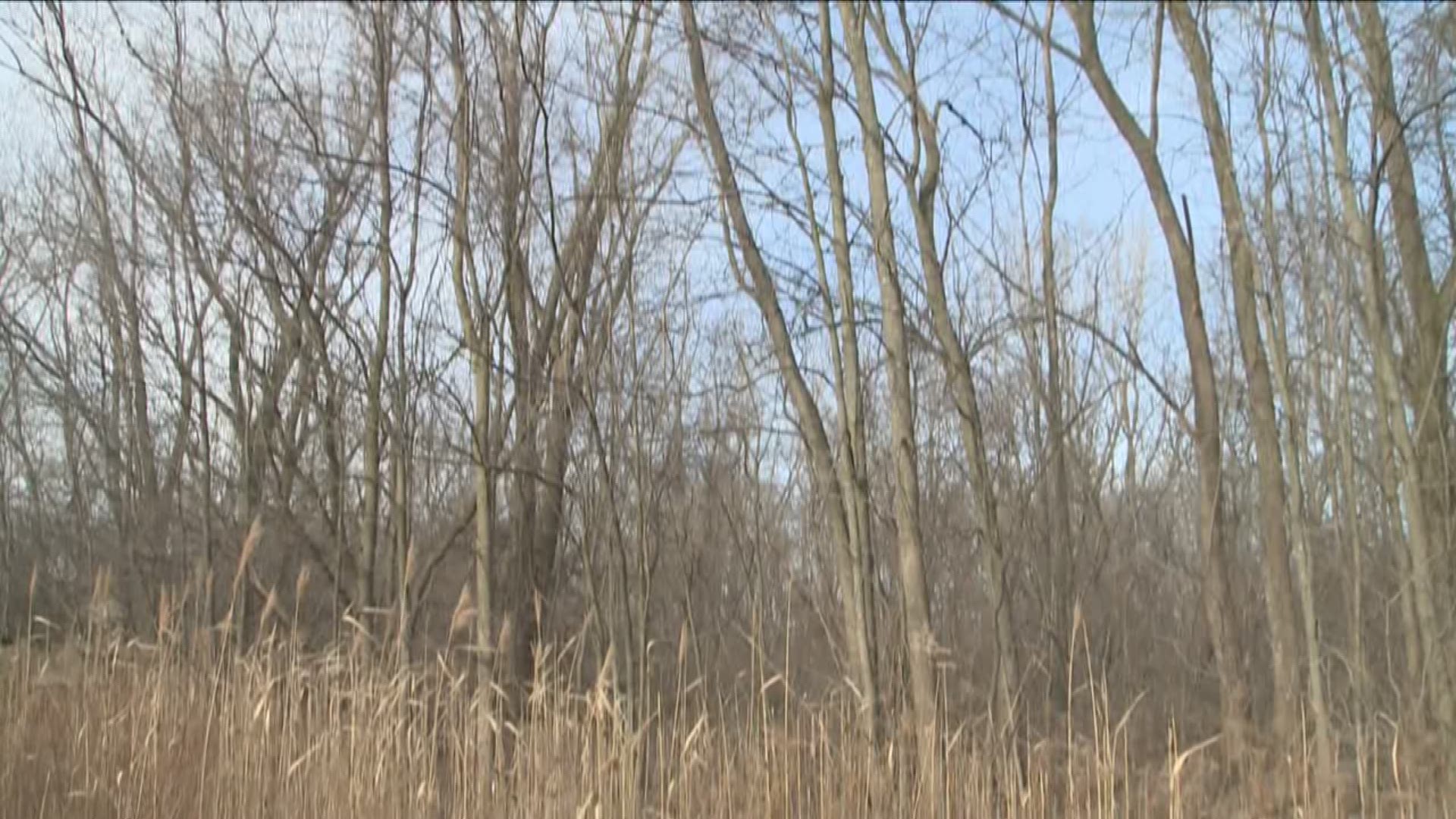 DEC meeting to address Niagara County landfill.