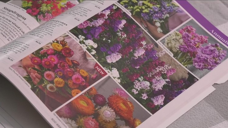 2 The Garden: Time to plan and buy seeds