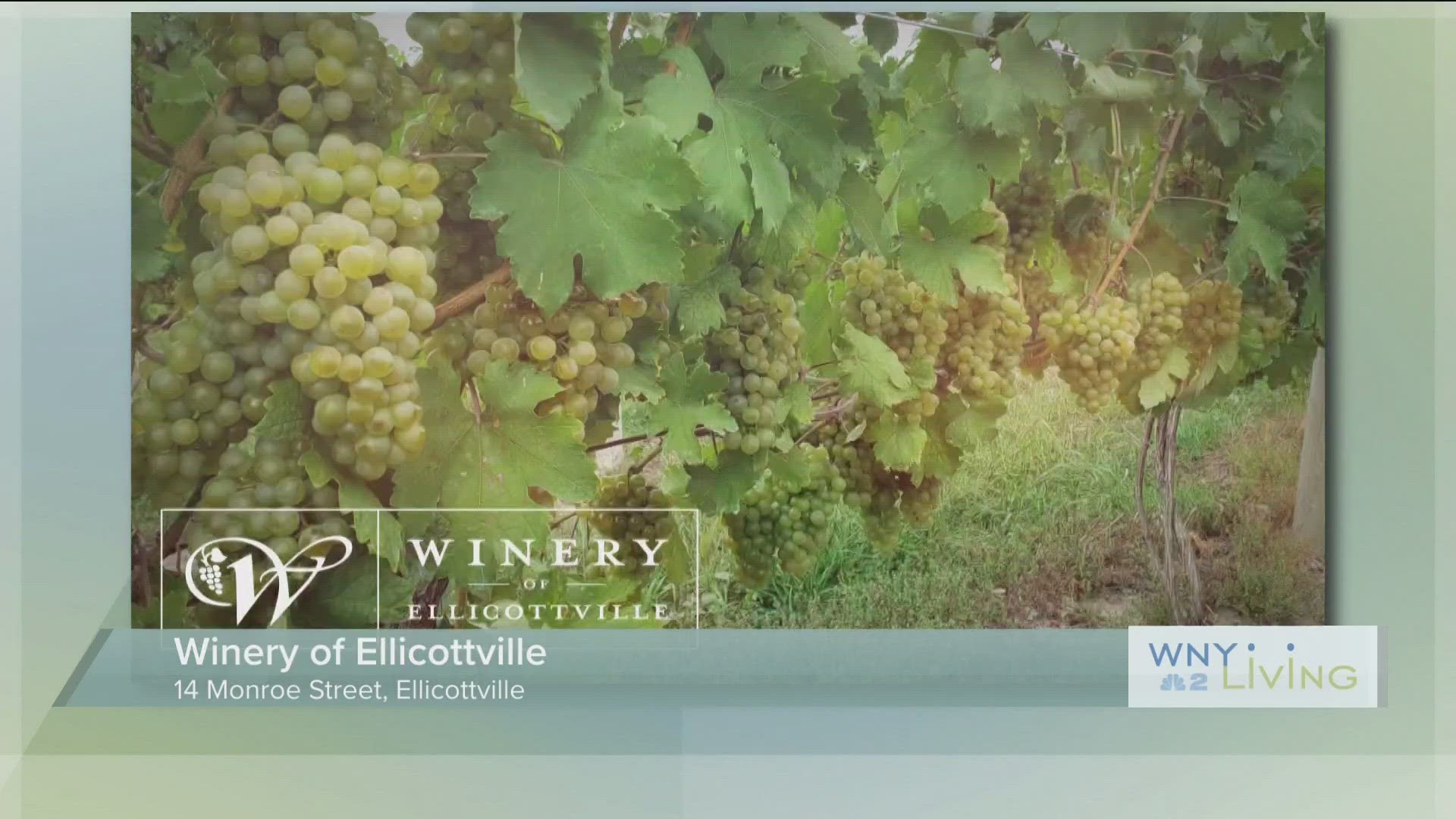 May 13th - Winery of Ellicottvile (THIS VIDEO IS SPONSORED BY WINERY OF ELLICOTTVILLE)