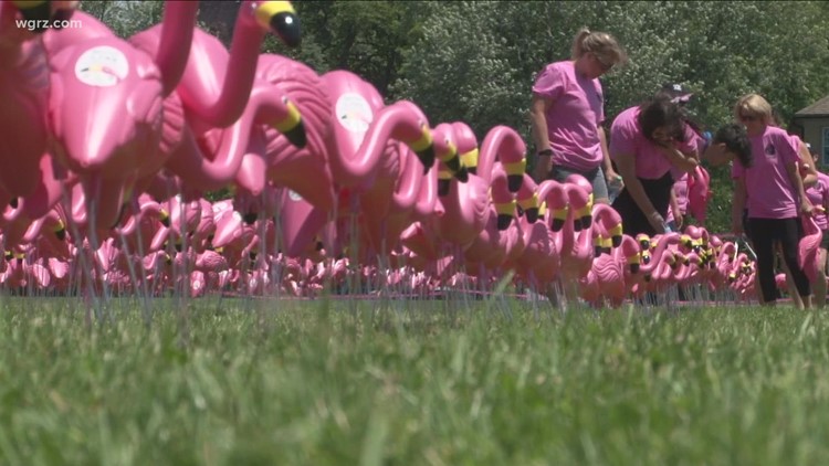 Buffalo Olmsted Parks Conservancy achieves Guinness World Record