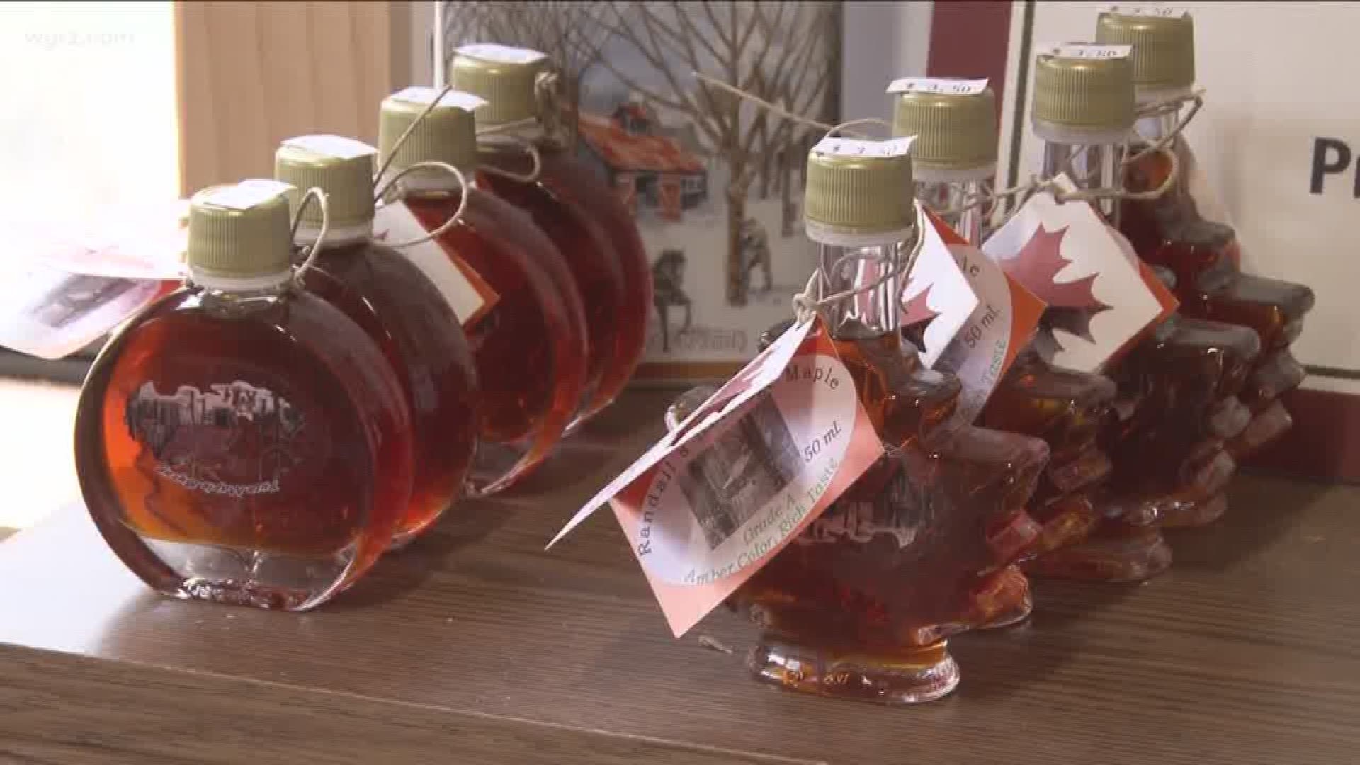 Tough Maple Syrup Season