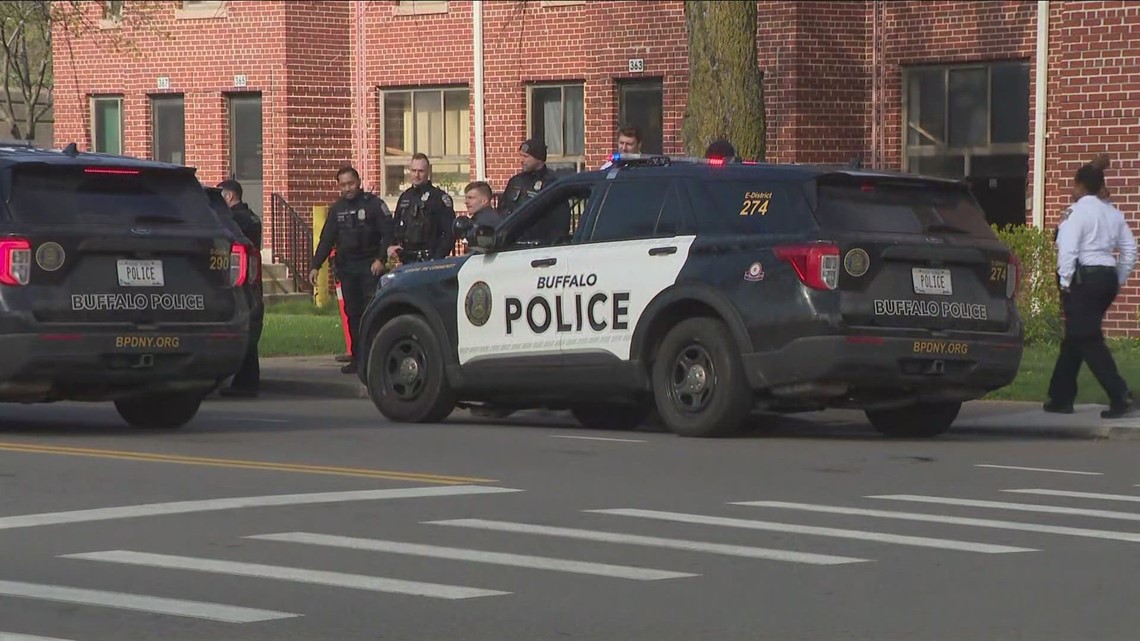 Buffalo mom arraigned, accused of kidnapping her own children - Vimarsana News