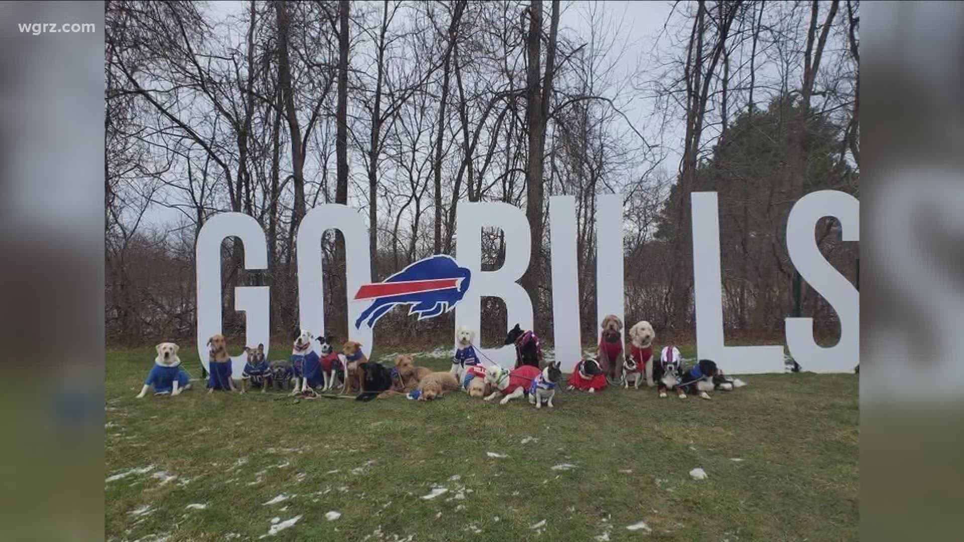 716 Dog Pack getting in on the Bills fever