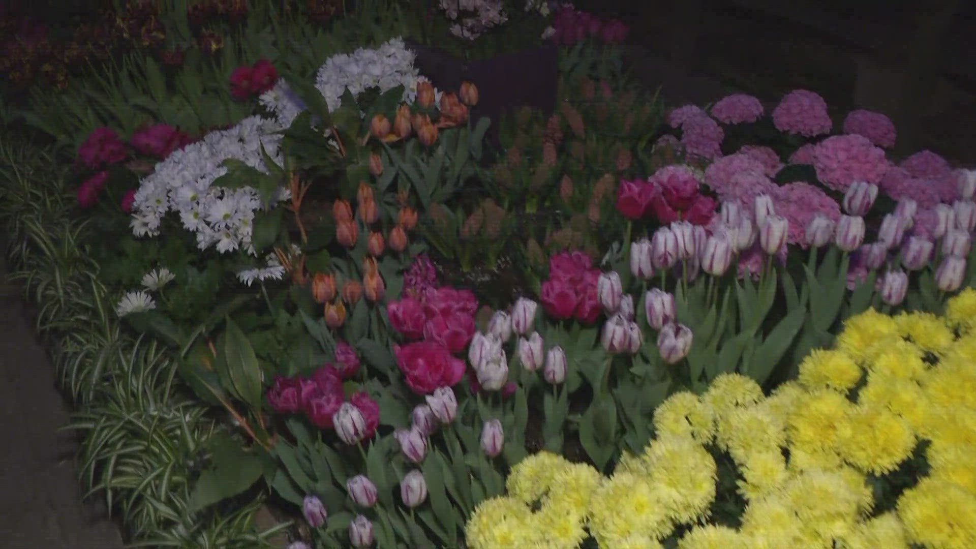 Kevin O'Neill visits the Botanical Garden to celebrate spring and Easter