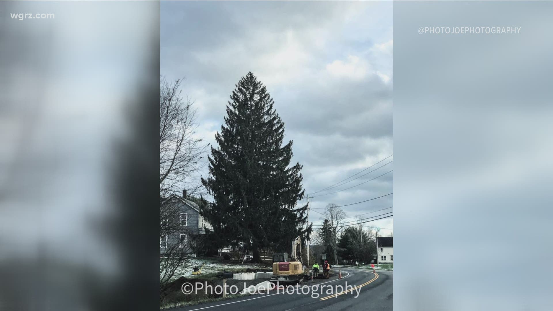 Rockefeller tree coming from Oneonta