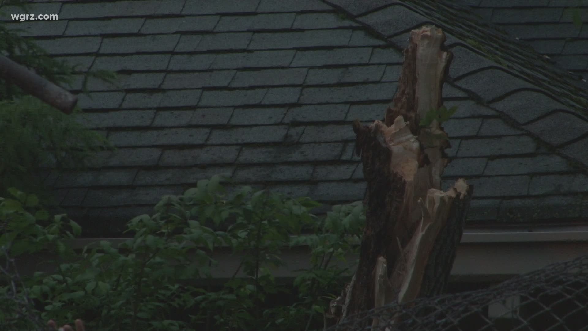 A tree from The Buffalo Zoo fell onto Parkside Avenue, closing traffic between Amherst Street and Jewett Parkway in North Buffalo for a period of time.