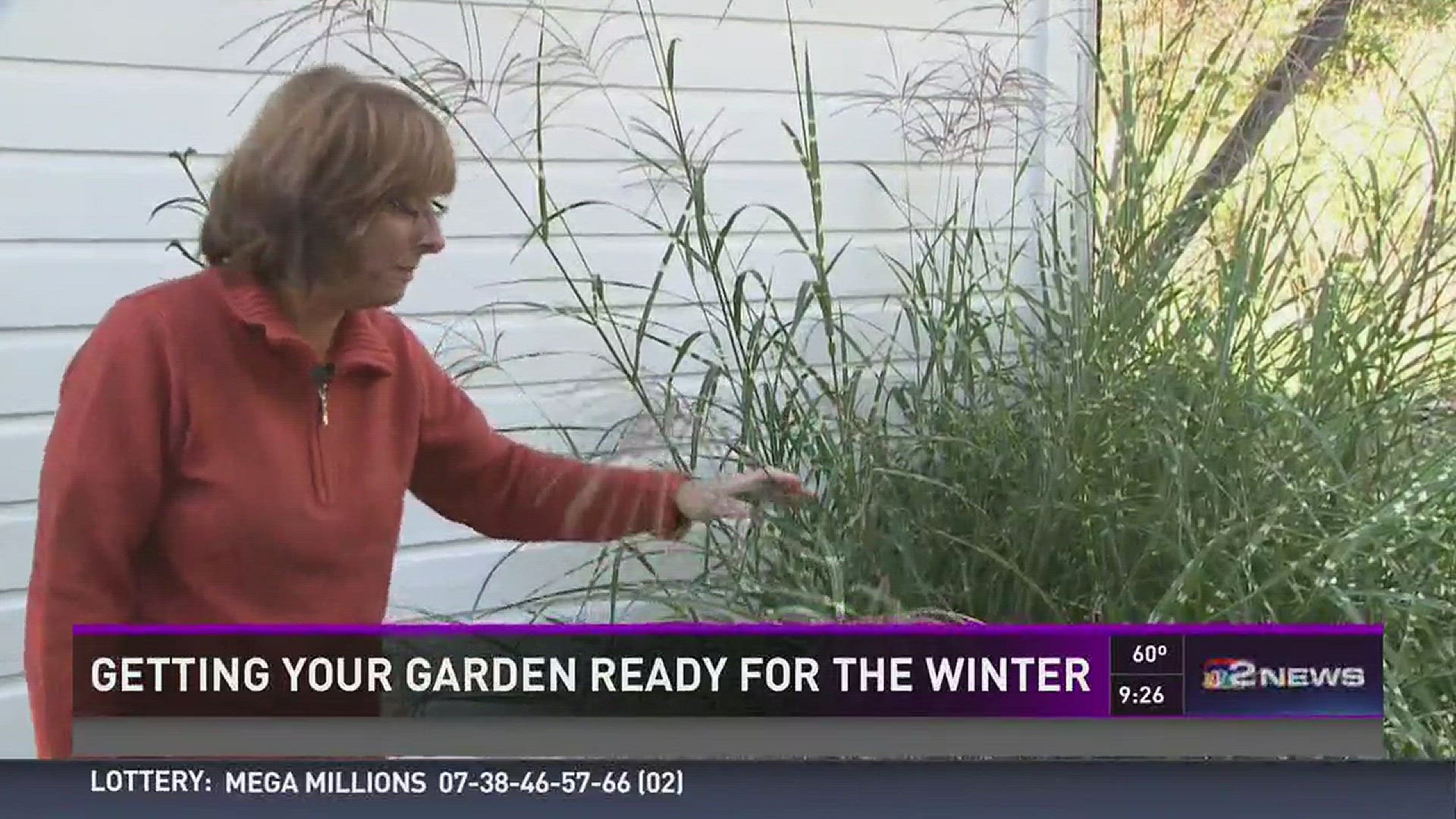 Gardening expert Jackie Albarella shows you how to trim back tall grasses to get your garden ready before winter hits.