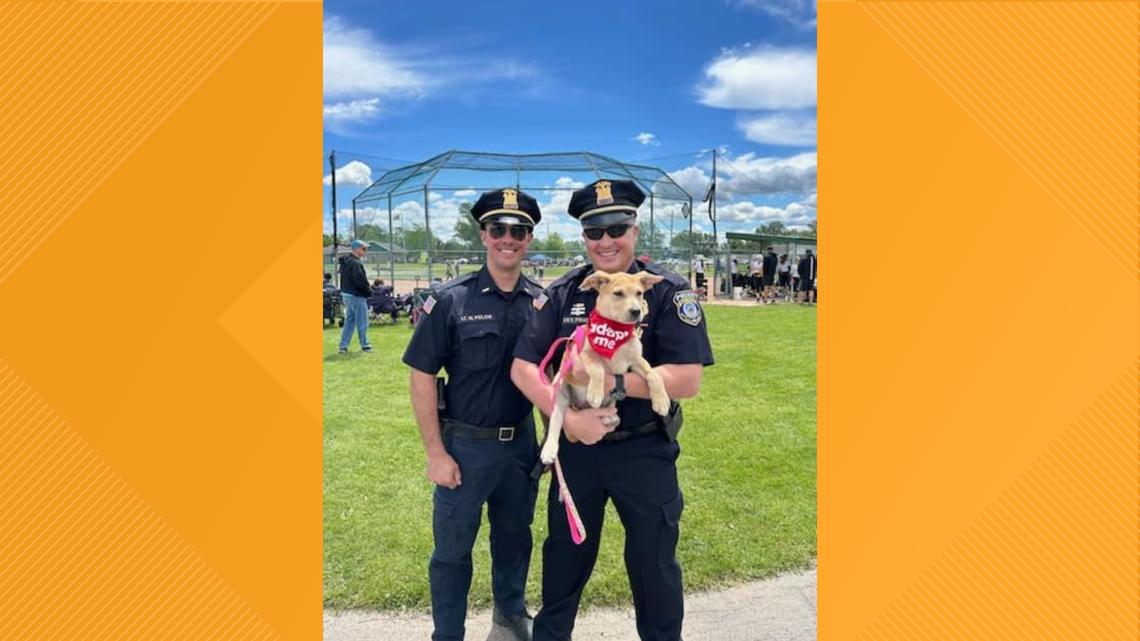 West Seneca Police 'k-9 For A Day' Program 