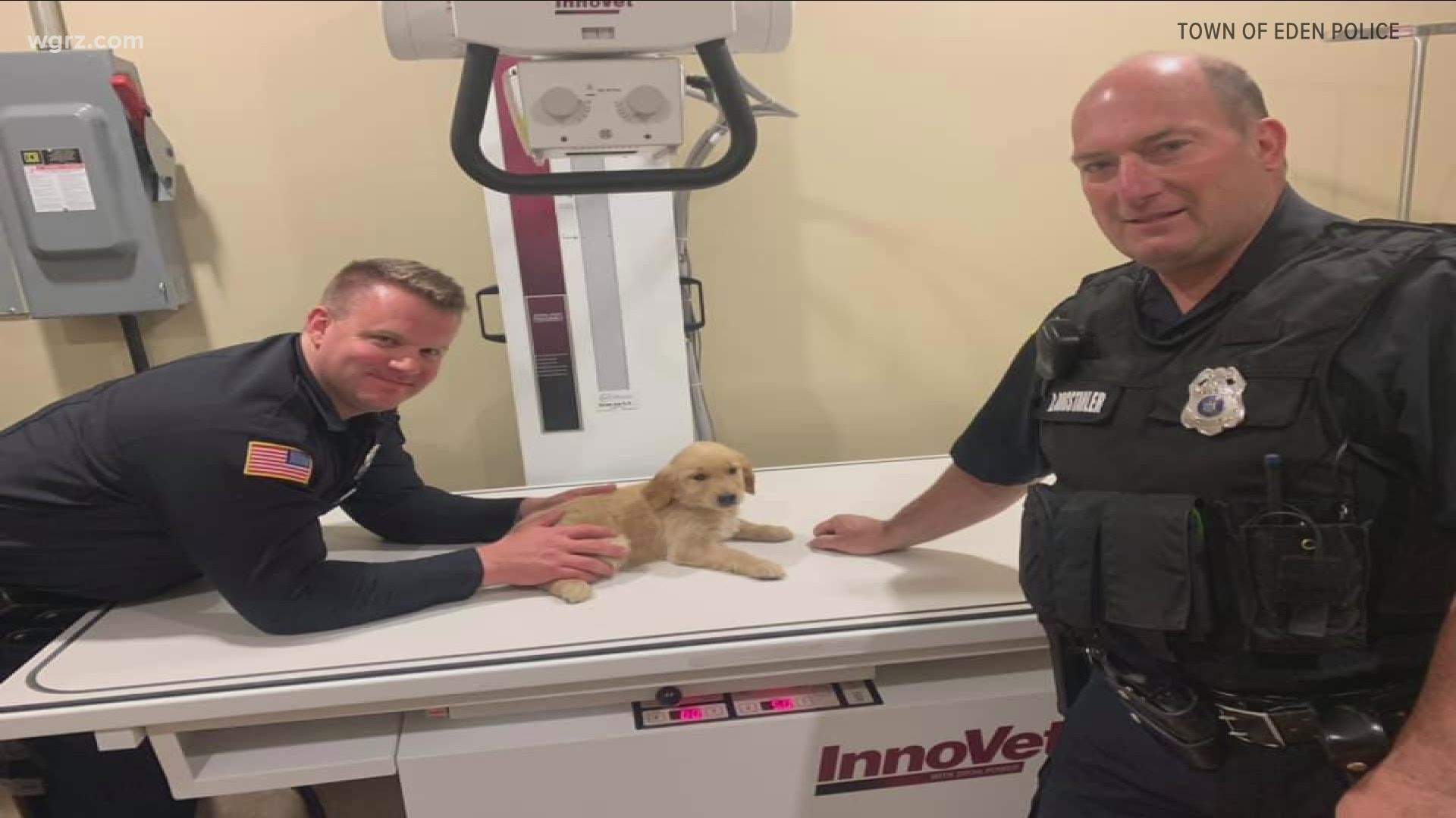 Eden police officers help rescue a puppy