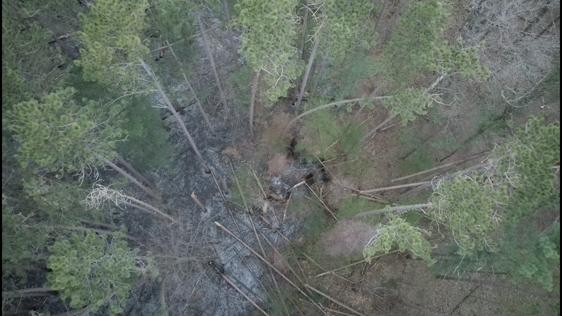 Bushfires burn about 8 acres of land in Letchworth State Park