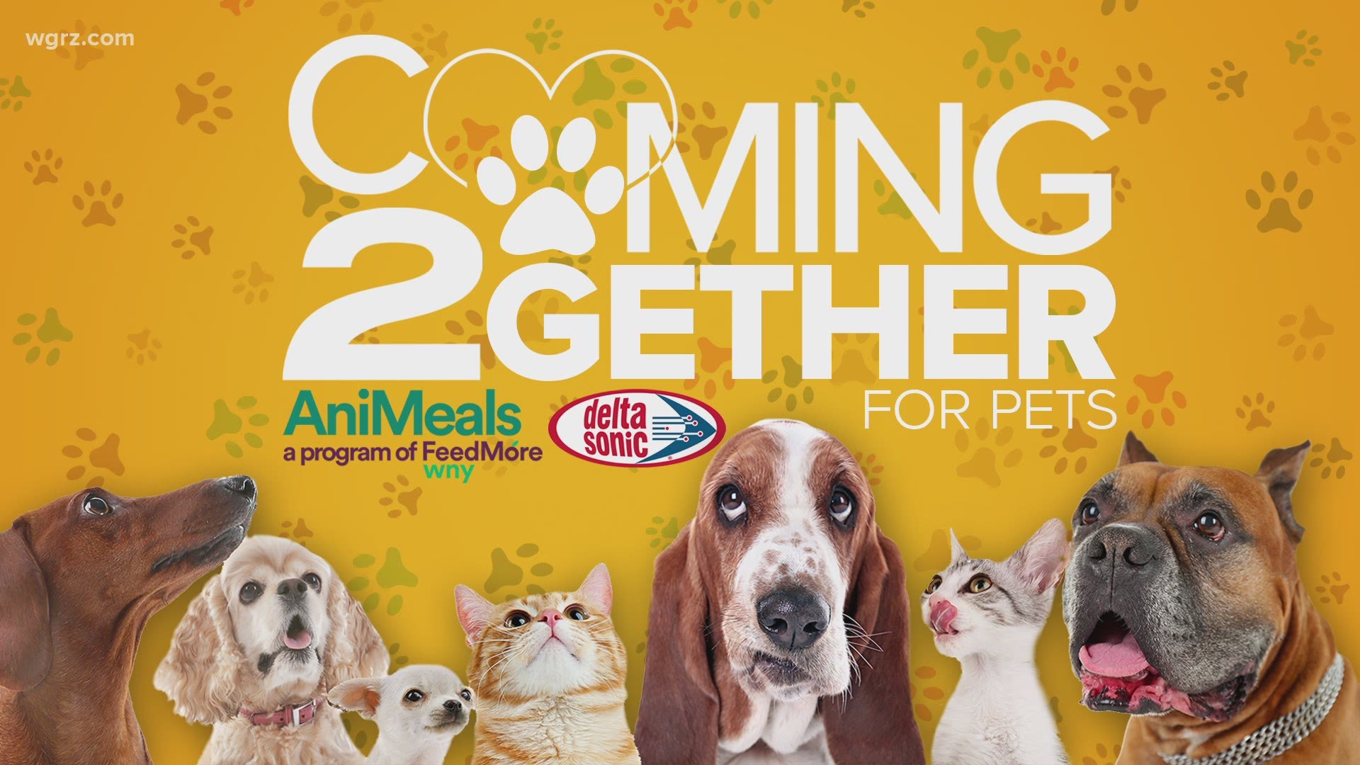 In less than a week, 2 On Your Side is partnering with FeedMore Western New York and Delta Sonic for the "Coming 2gether" pet food and donation drive.