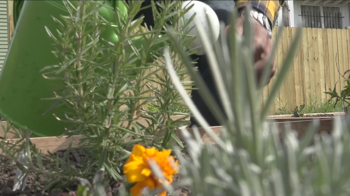 New all-inclusive sensory garden growing in East Buffalo - Vimarsana News