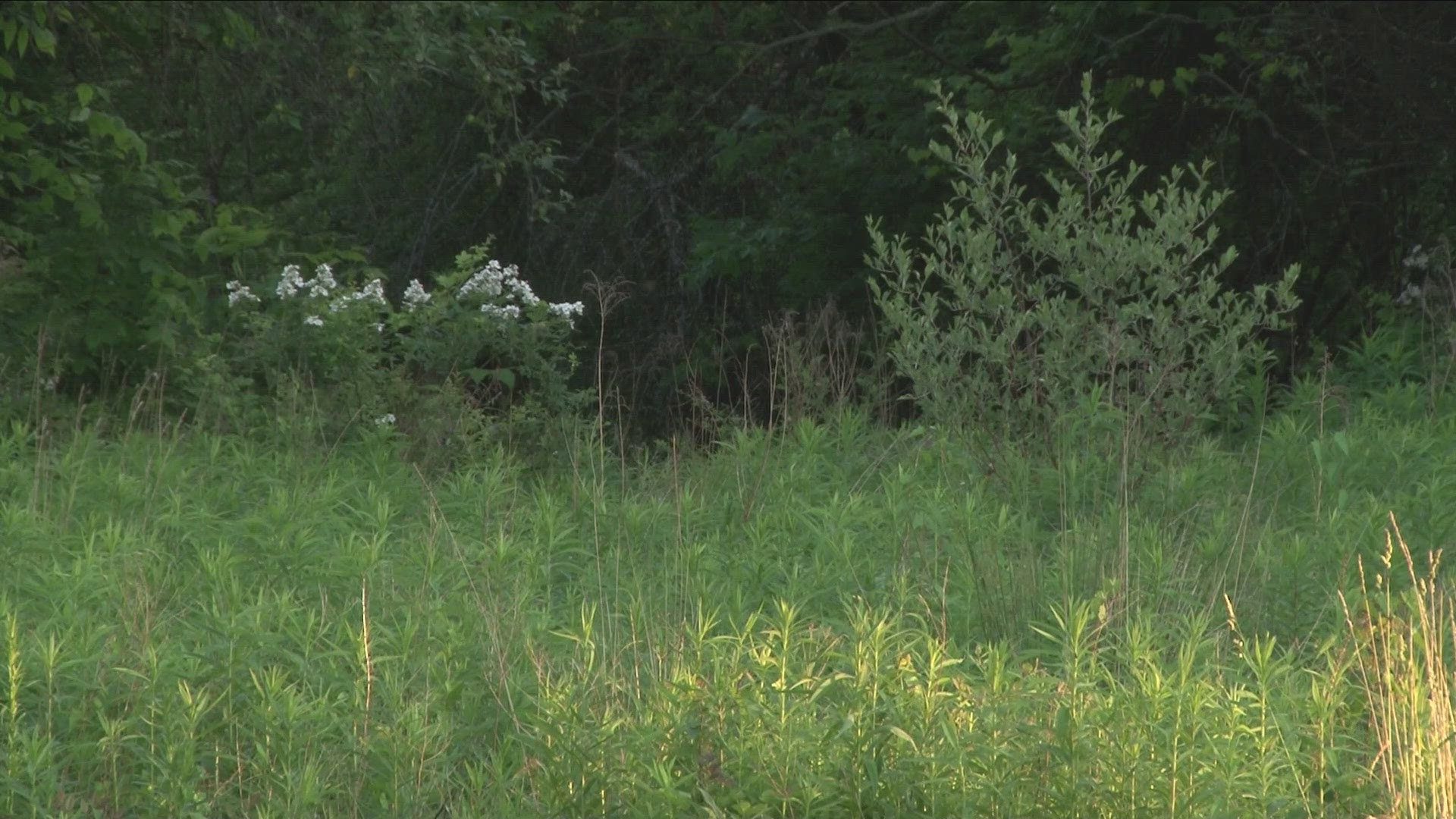 There was a public hearing in Barker regarding a proposed 125 mega watt solar project