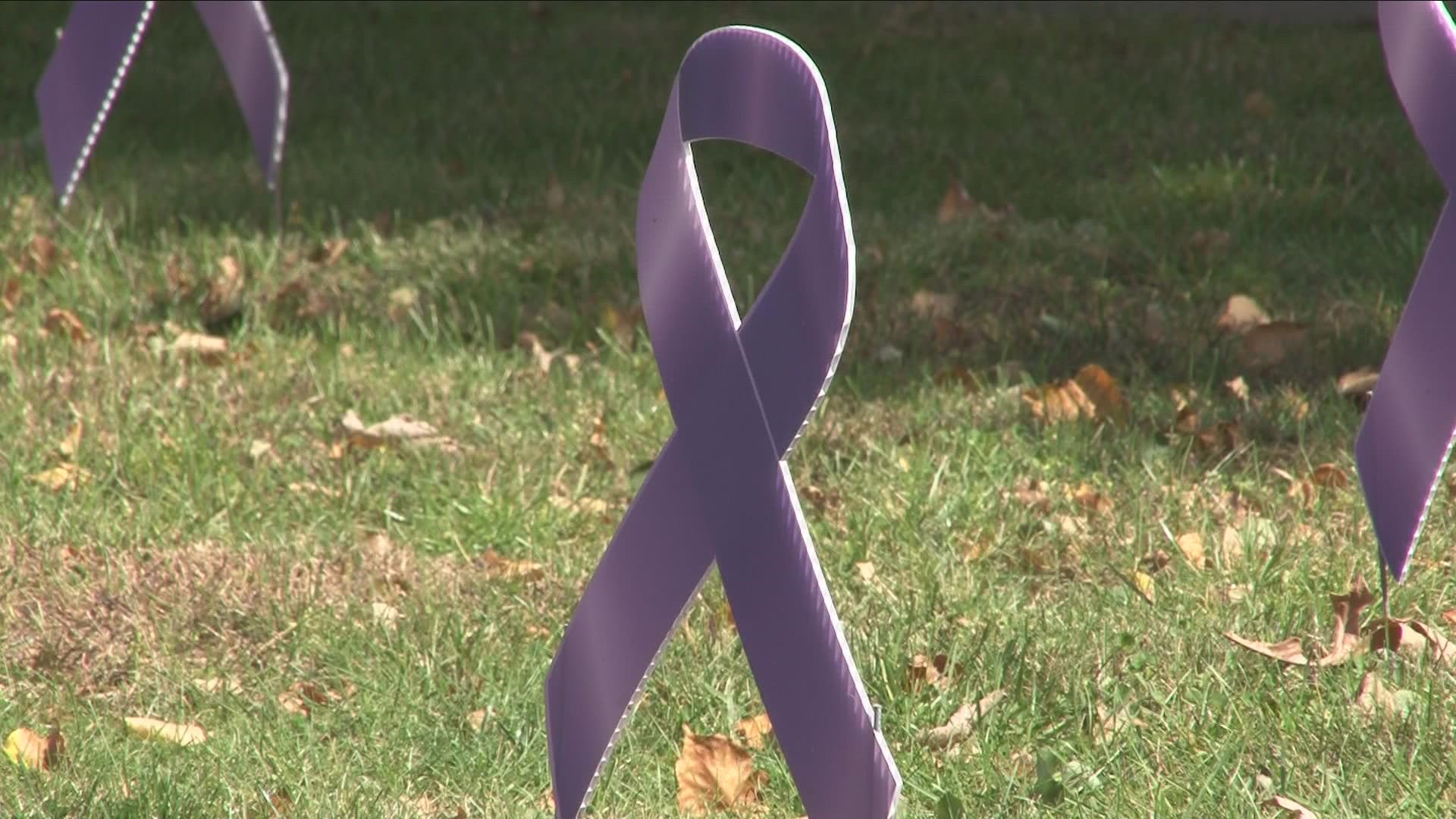 Domestic Violence awareness month