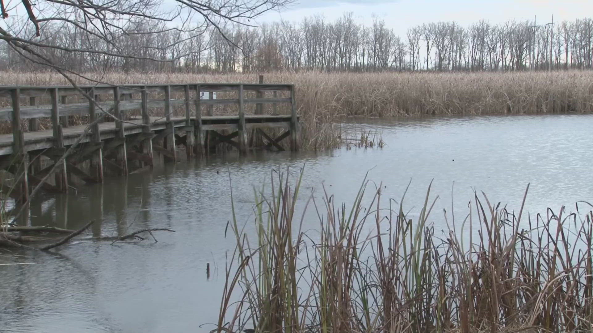 A complete rebuild of the heritage boardwalk