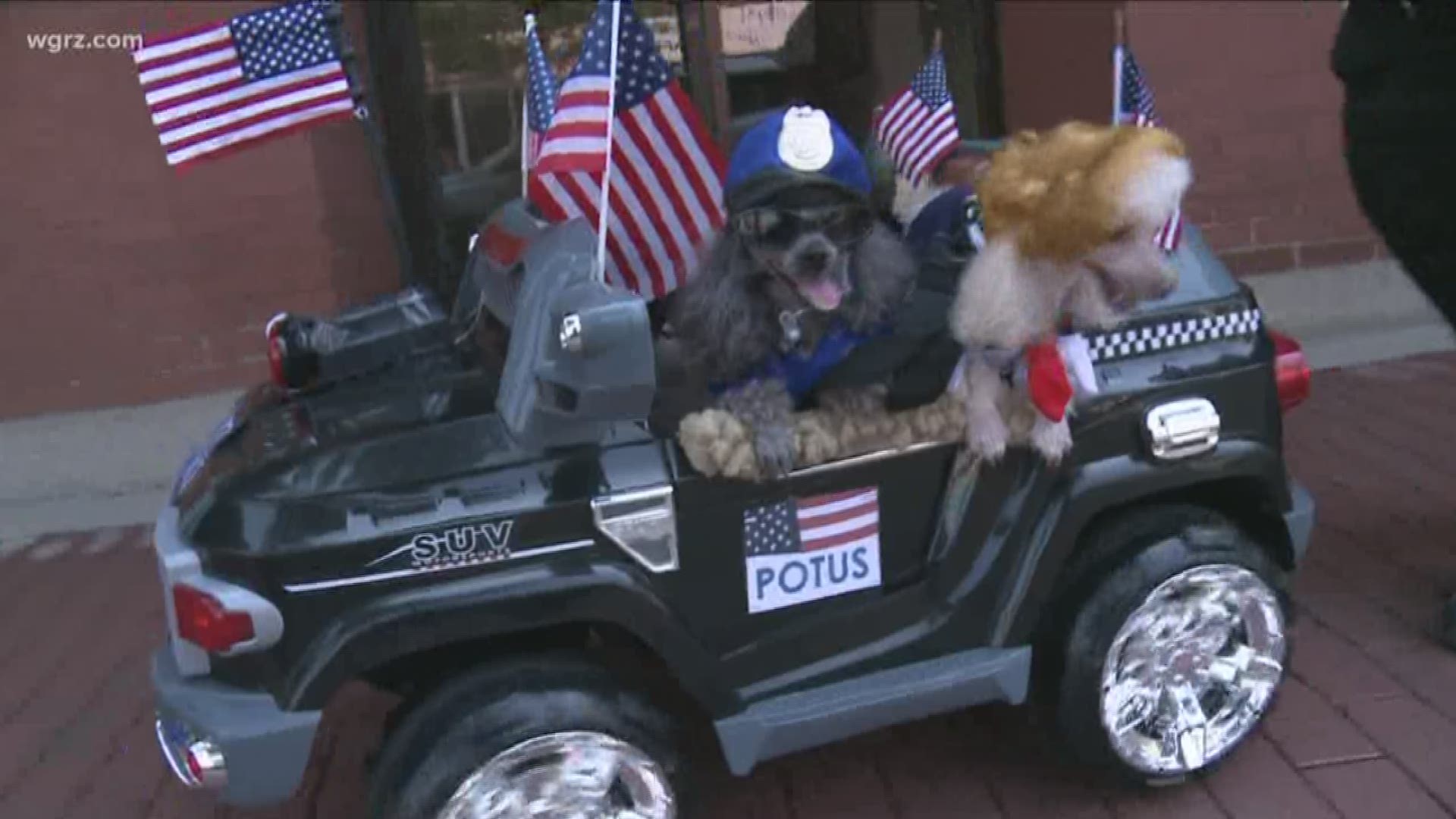 Dress up your pup for the annual Patriotic Paws Parade in Lancaster, and you could win a prize!