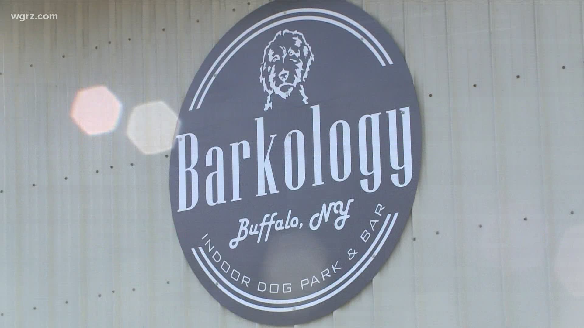 Barkology dog park and bar to open in Cheektowaga making it the first-of-its-kind spot in WNY.