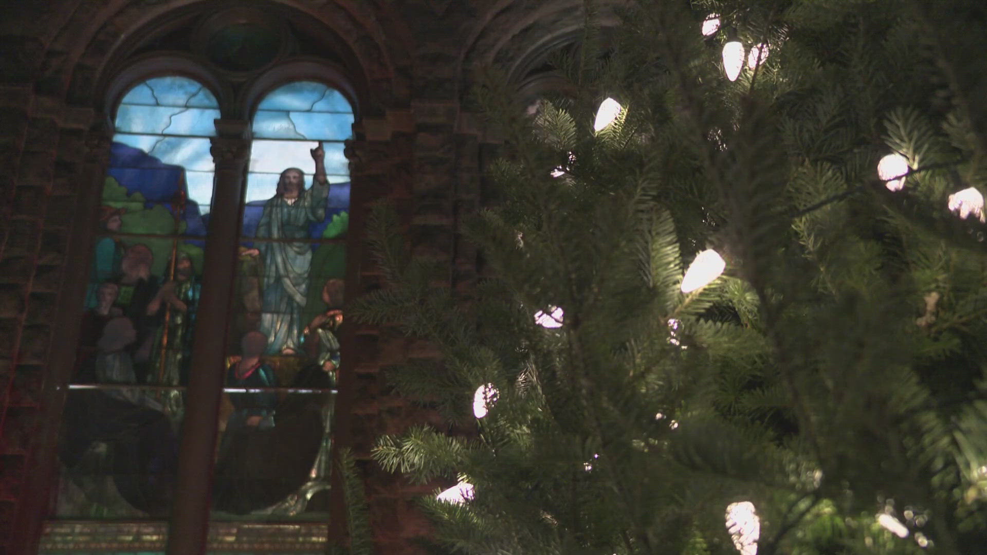 The tree is lit up right outside the Lafayette Avenue Presbyterian Church.