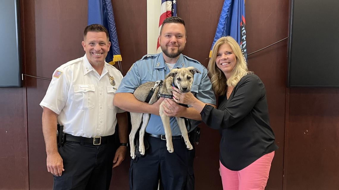 Therapy dog joins Cheektowaga Police Department, officer wellness ...