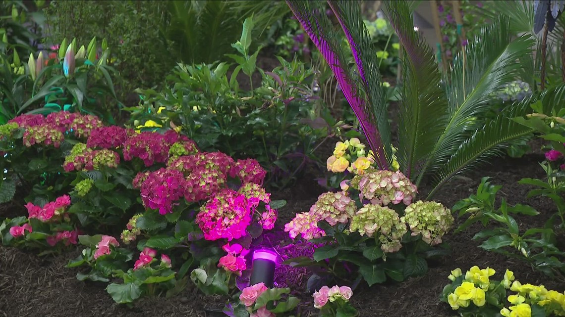 Spring is ahead and so is the Plantasia show - Vimarsana News