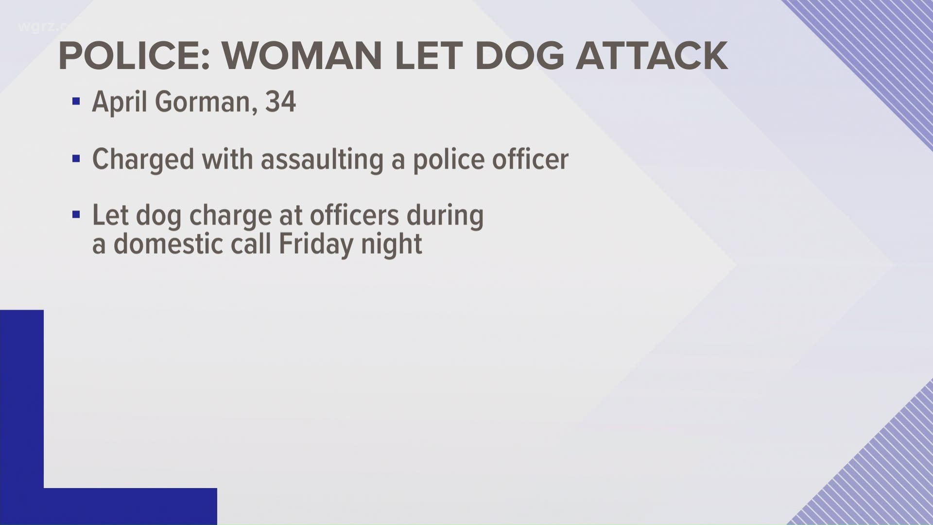 A West Seneca woman is facing several charges, including assaulting a police officer, after officers say she let her dog attack police.