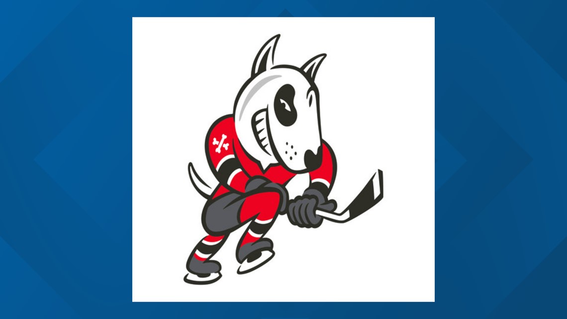 Niagara IceDogs receive sanctions for bullying, harassment and  maltreatment; players banned from OHL - Daily Faceoff