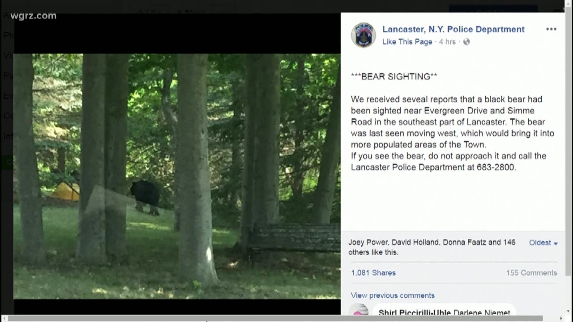 Bear sighting in Lancaster | wgrz.com