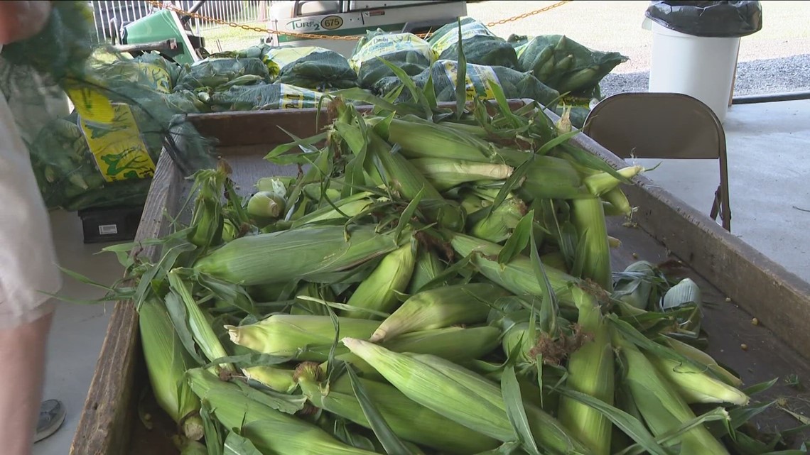 Eden Corn Festival returns to WNY