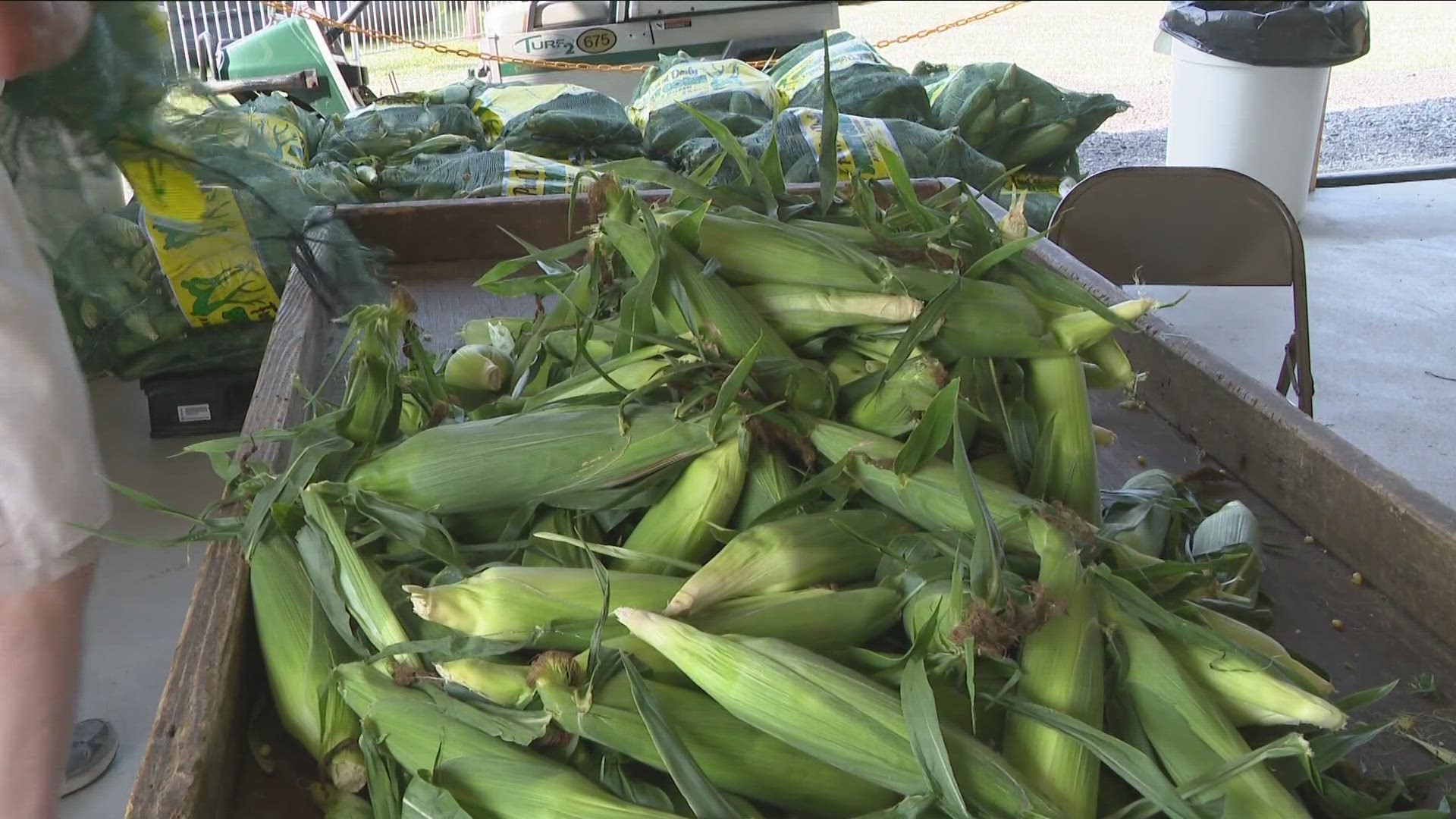 The Eden Corn Festival makes its return for its 59th year.