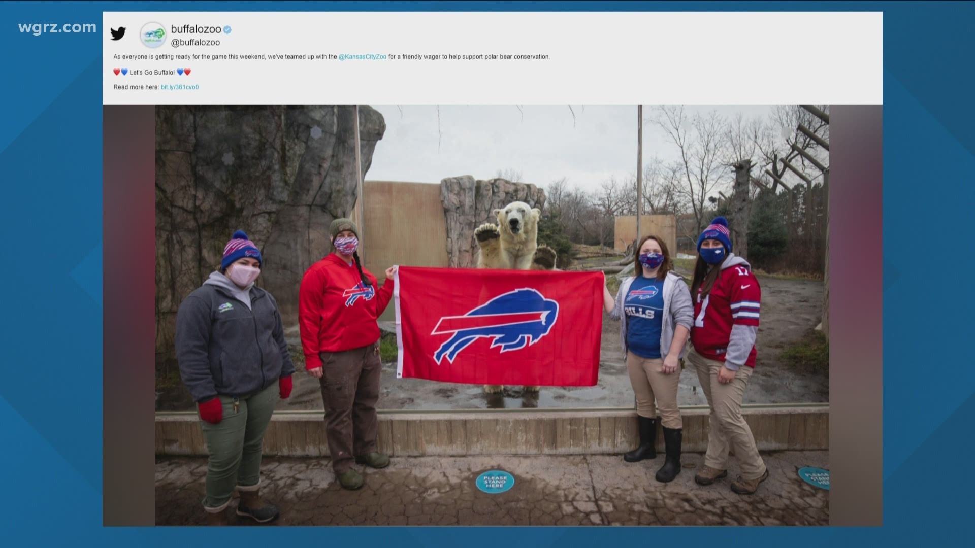 Buffalo, Kansas City zoos make a friendly wager