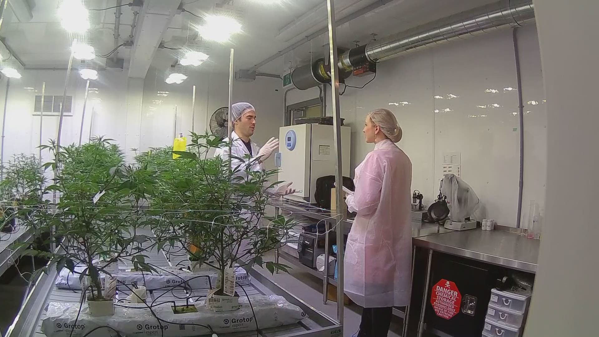 Carson Otto, a student at Niagara College is working to get a Commerical Cannabis Production Graduate certificate.