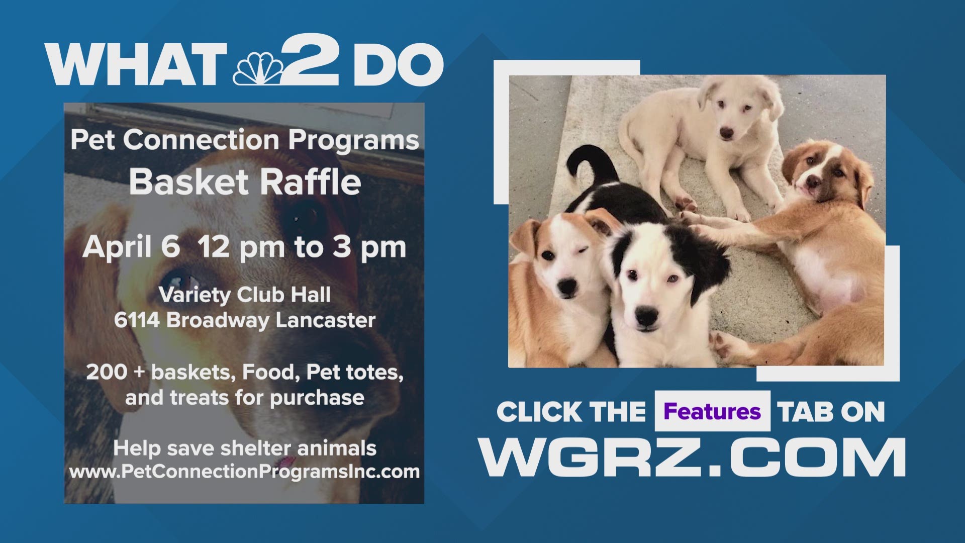 Help support shelter animals by attending Pet Connection Programs Inc. Basket Raffle.
