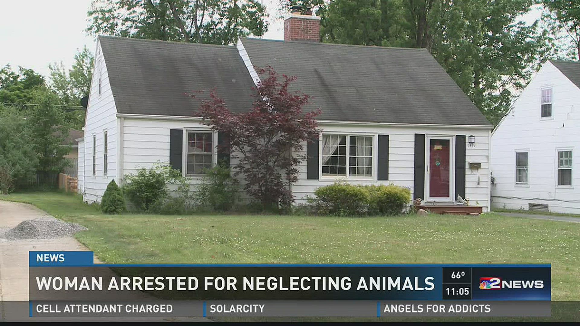 WNY woman charged with torturing animals | wgrz.com
