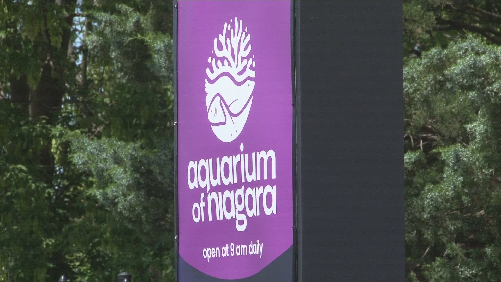 aquarium-of-niagara-expansion-approved-wgrz
