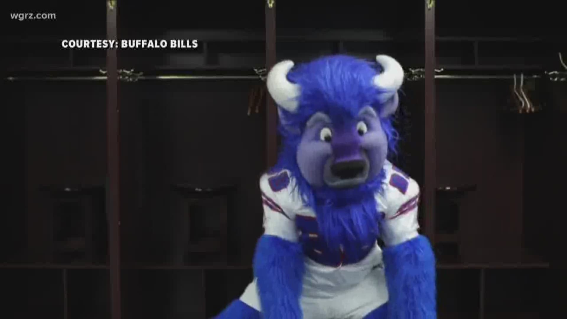 Need a job? The Bills are looking for someone to suit up as mascot